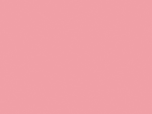 Фламинго Розовый U363